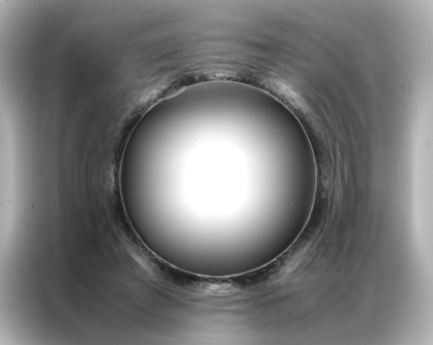 X0000086990401200704301342