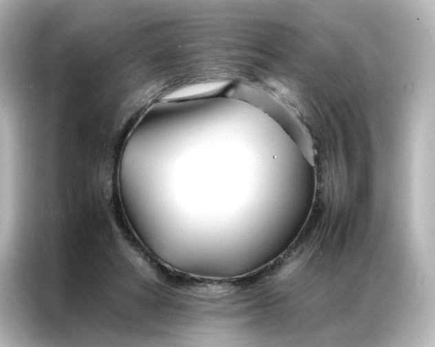 X0000086990402200704301342