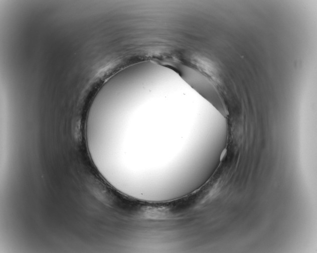 X0000086990403200704301342