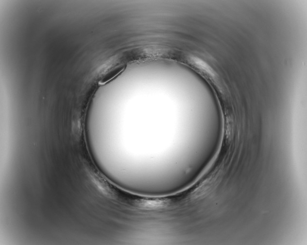 X0000086990405200704301341