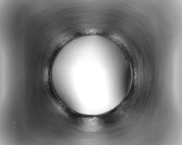 X0000086990410200704301341