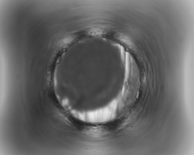 X0000086990411200704301341