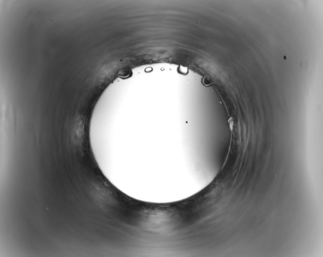 X0000086990412200704301341