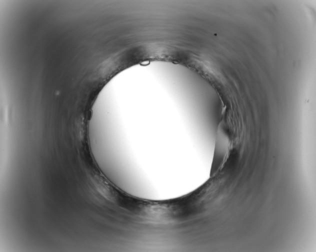 X0000086990413200704301341