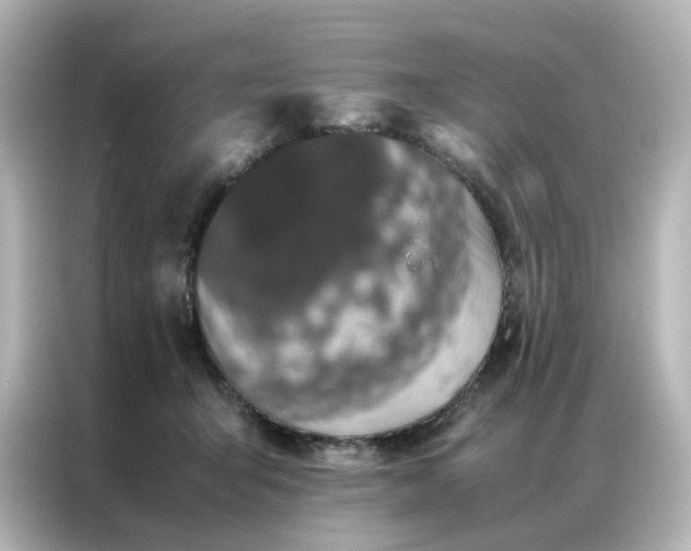 X0000086990415200704301341