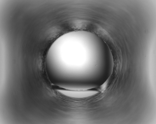 X0000086990416200704301341