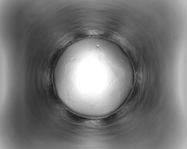 X0000086990422200704301341