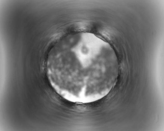 X0000086990423200704301341