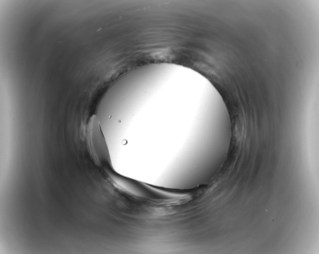 X0000086990424200704301341