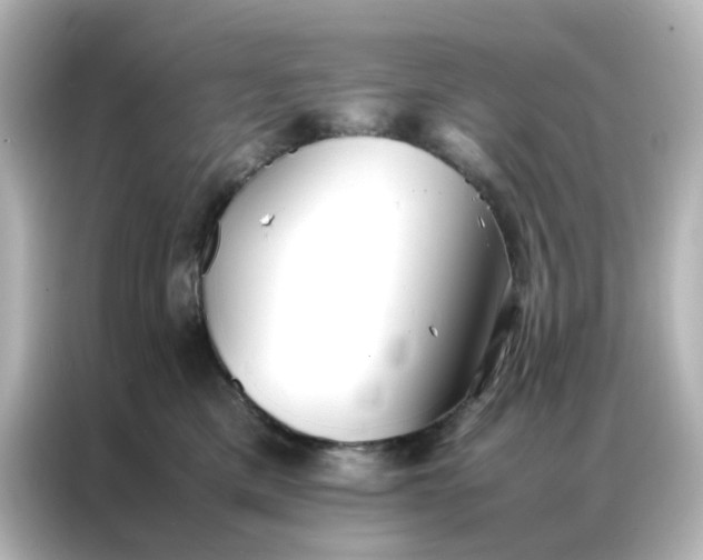 X0000086990425200704301341