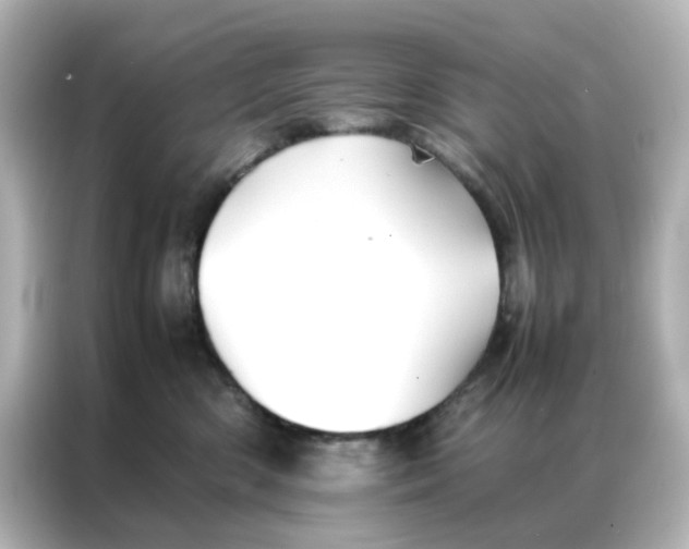 X0000086990426200704301341