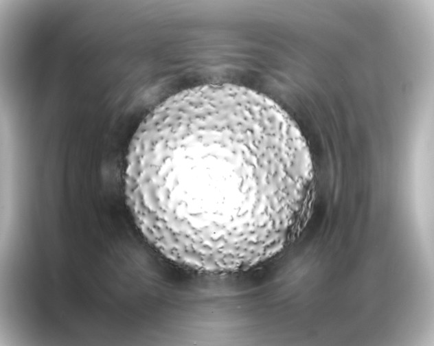 X0000086990427200704301341