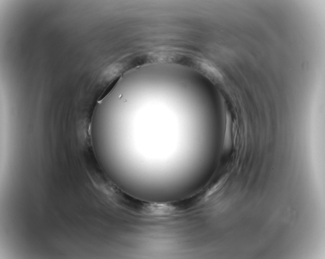 X0000086990429200704301341