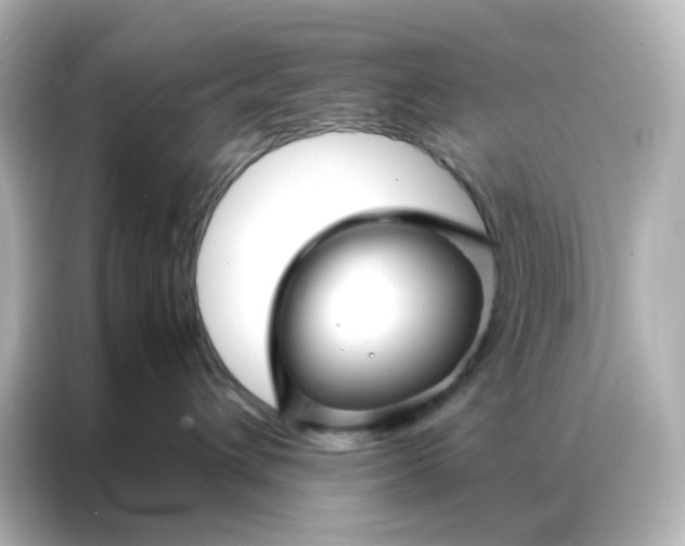 X0000086990432200704301341