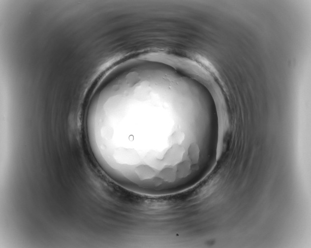 X0000086990435200704301341