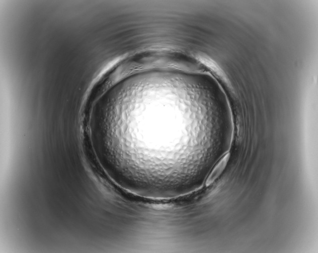 X0000086990436200704301341