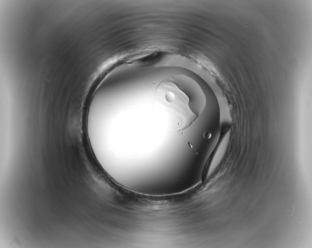 X0000086990438200704301341