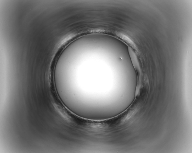 X0000086990439200704301341