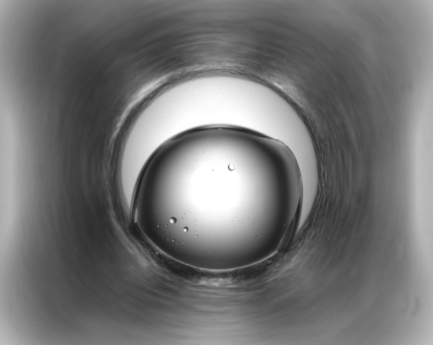 X0000086990440200704301341