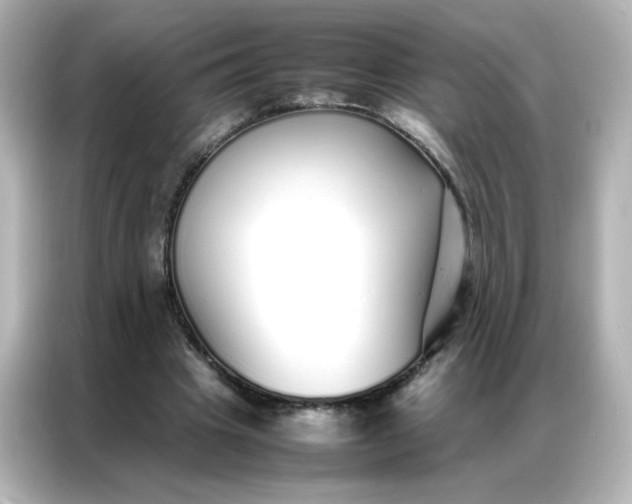 X0000086990441200704301341