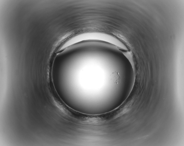 X0000086990446200704301341