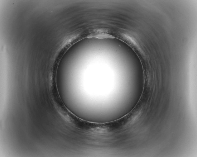 X0000086990447200704301341