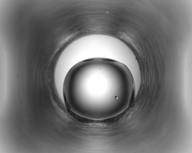 X0000086990448200704301341