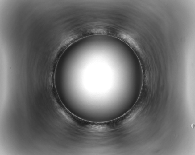 X0000086990449200704301341