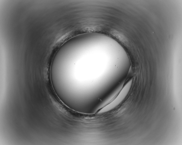 X0000086990450200704301341