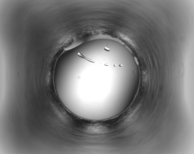 X0000086990451200704301341