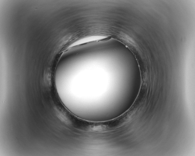 X0000086990452200704301341