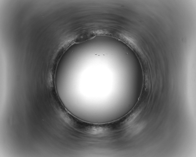 X0000086990453200704301341