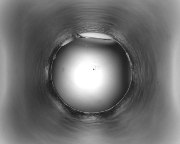 X0000086990454200704301341