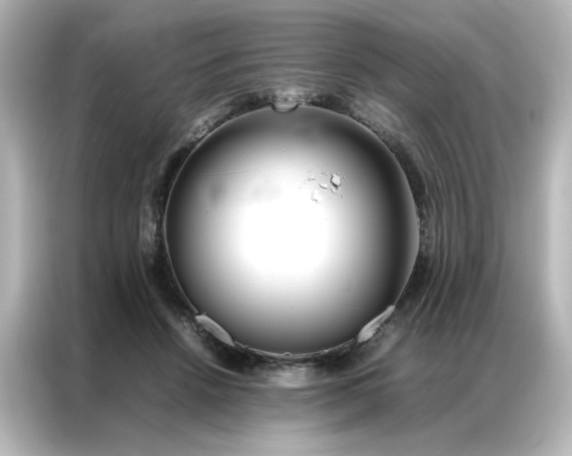 X0000086990456200704301341