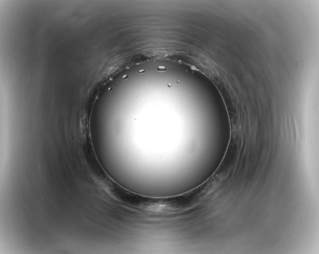 X0000086990460200704301341