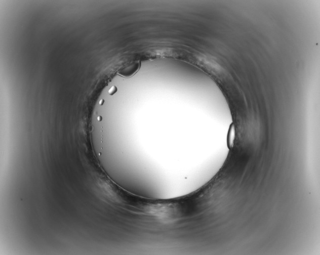 X0000086990461200704301341