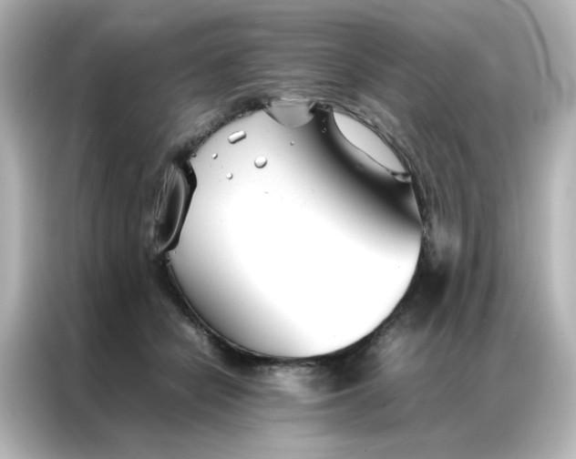 X0000086990462200704301341