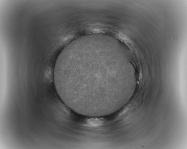 X0000086990465200704301341