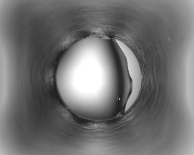 X0000086990466200704301341