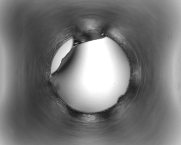 X0000086990469200704301341