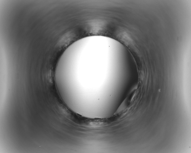 X0000086990470200704301341