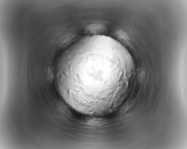 X0000086990471200704301341