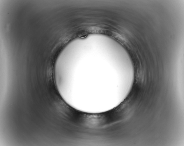 X0000086990473200704301341