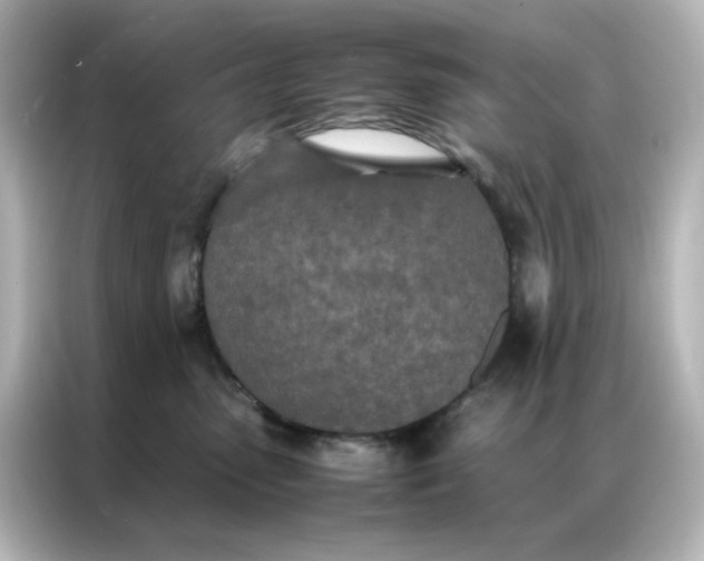 X0000086990475200704301341