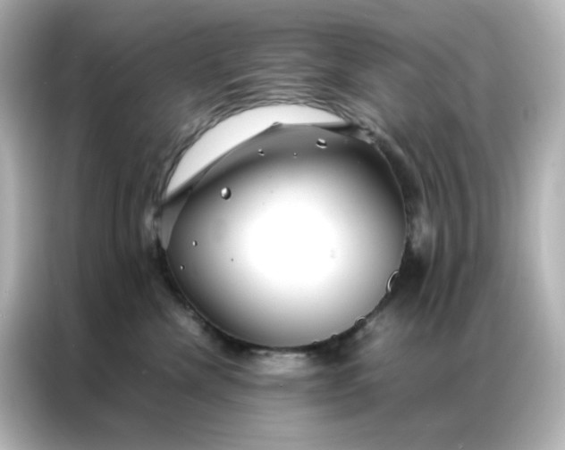 X0000086990476200704301341