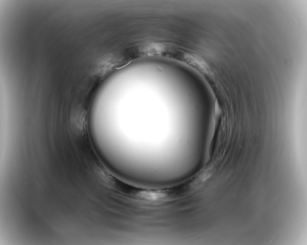 X0000086990477200704301341