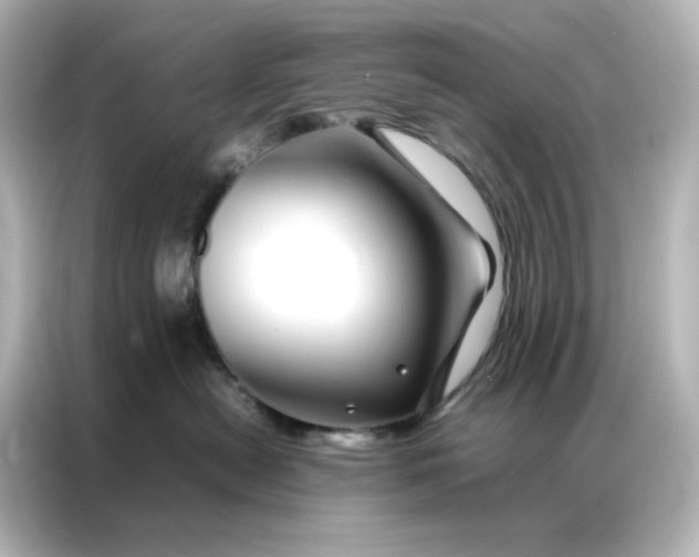 X0000086990478200704301341