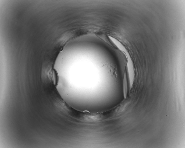 X0000086990479200704301341