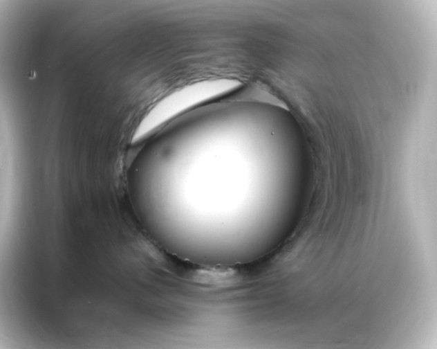 X0000086990480200704301341