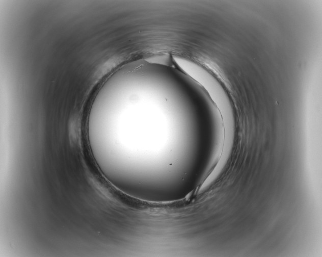 X0000086990482200704301340